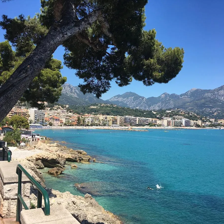 Le Louvre Apartment Menton